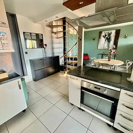 Superbe Vue Mer, Climatisee, Proche Plage, Parking, Animaux Acceptes - Fr-1-816-23