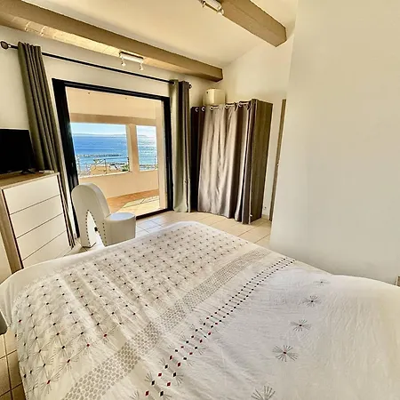 Superbe Vue Mer, Climatisée, Proche Plage, Parking, Animaux Acceptés - Fr-1-816-23