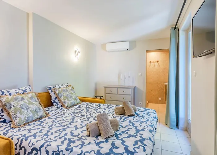 Superbe Vue Mer, Climatisee, Proche Plage, Parking, Animaux Acceptes - Fr-1-816-23 *